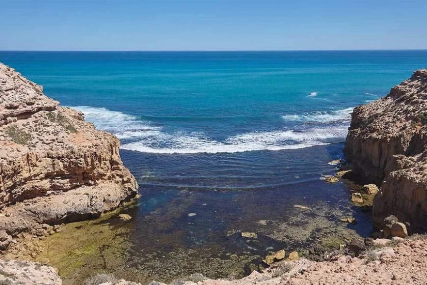 Adelaide: Umugabo yishwe n'igitero cya 'Shark'