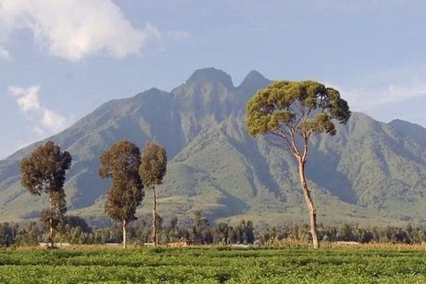 Niyo Pariki ya mbere yashinzwe muri Afurika! Dore ibyo wamenya kuri Pariki y'Igihugu y'Ibirunga