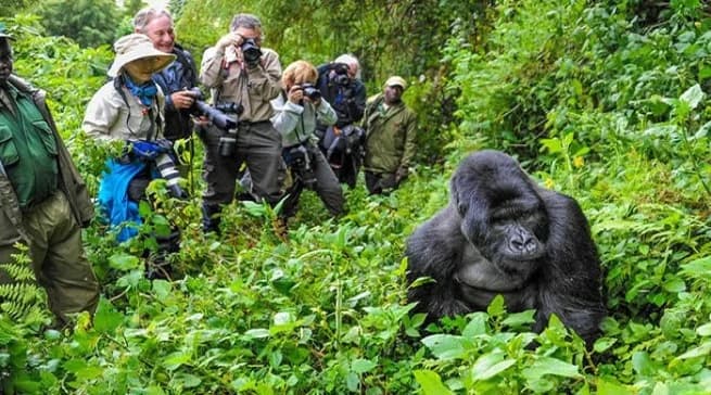 Rwanda's Tourism Sector generates $620 million in 2023