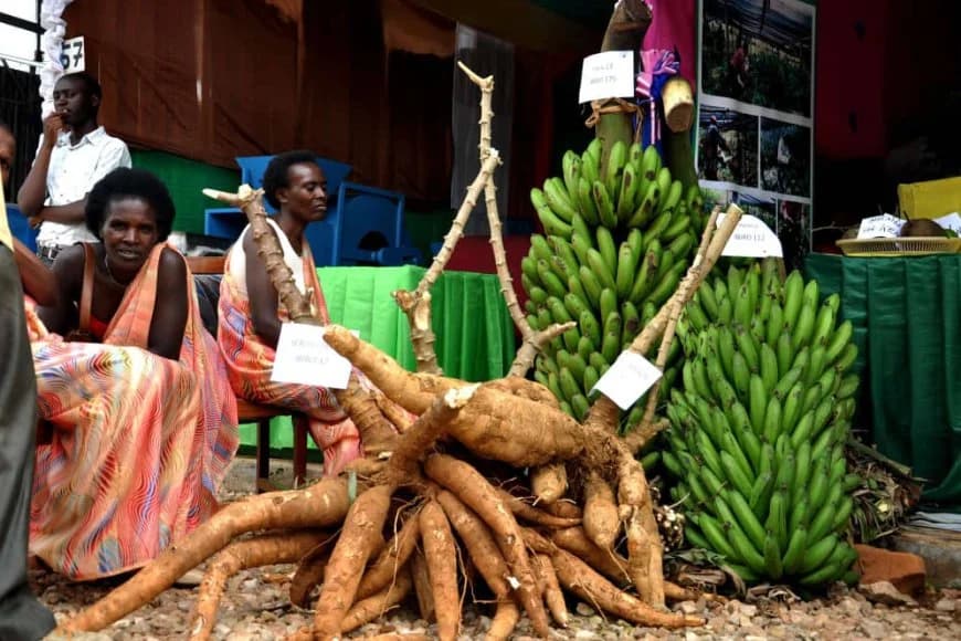Economic Challenges Loom for East Africa in 2023, Deloitte Report Warns