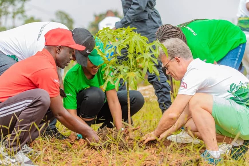 The youth of Kigali City planted 15,000 trees