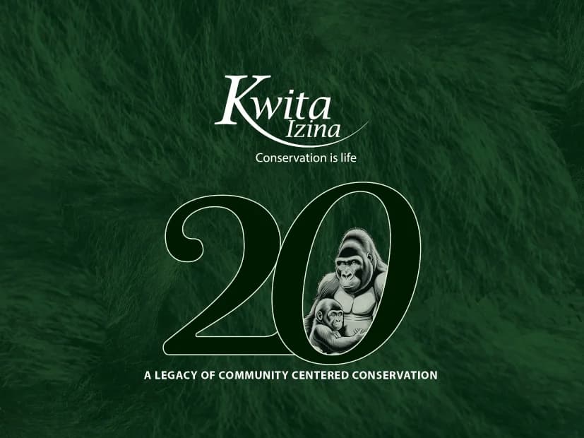 Rwanda’s Annual Gorilla Naming Ceremony - Kwita Izina to be held on 18th October