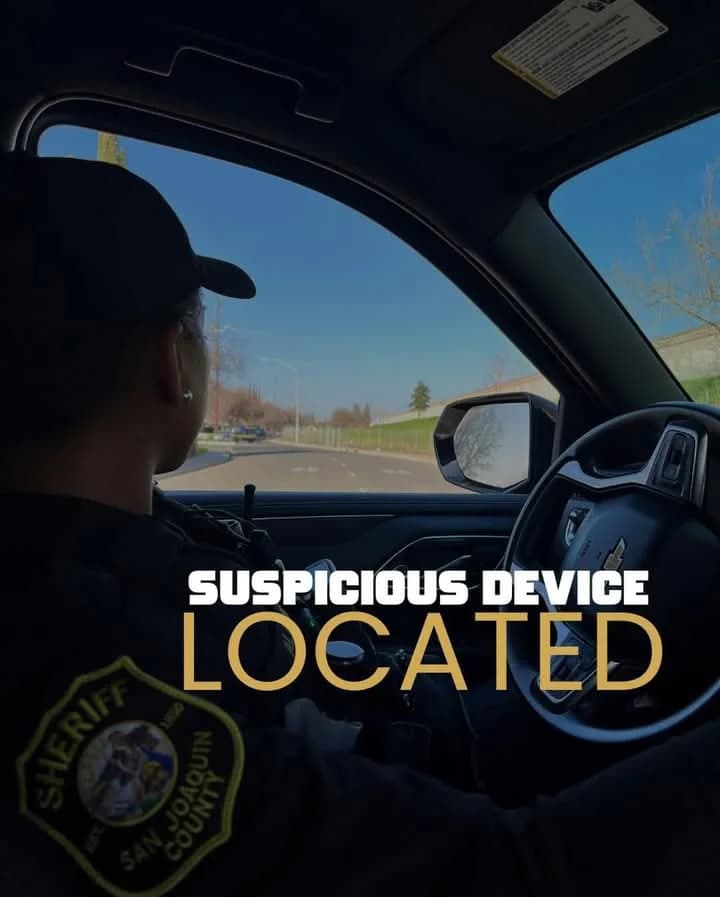 Incident in Ryde: Examining Public Safety and Law Enforcement Response