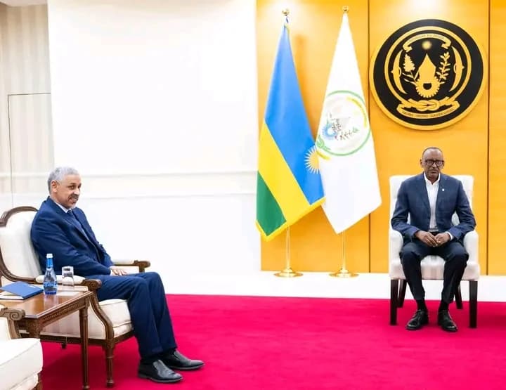President Kagame receives AfDB president-elect
