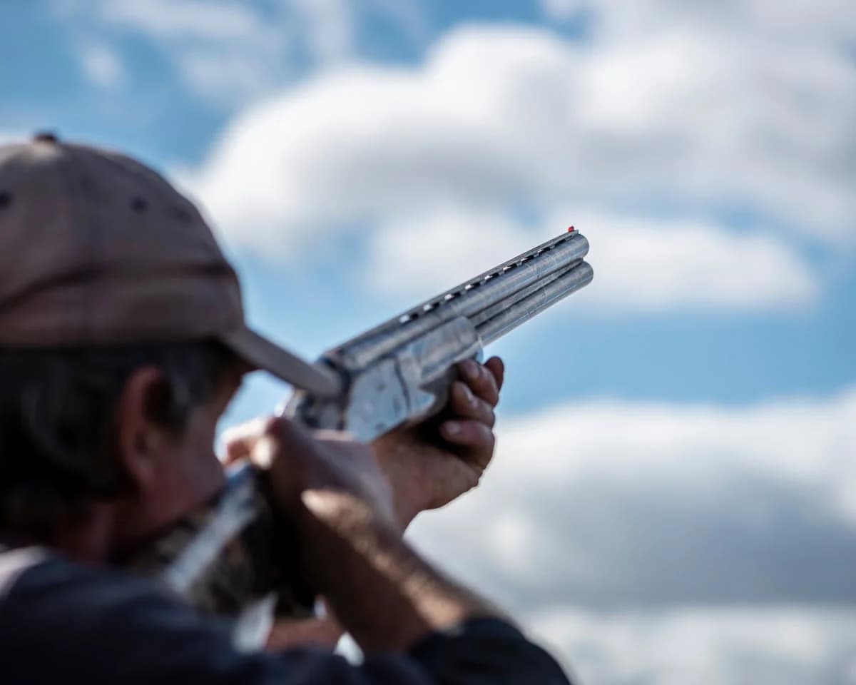 NSW moves to pass Australia’s toughest gun laws before christmas