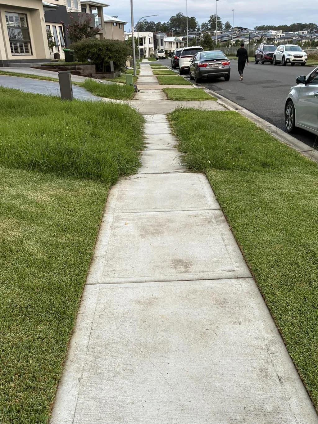 Cut it or let it grow? The grass battle dividing Australia